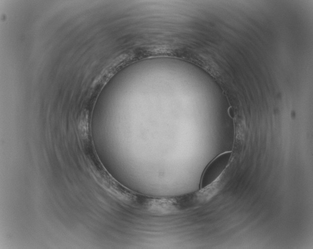 X0000055520179200509022133