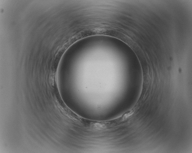 X0000055520180200509022133