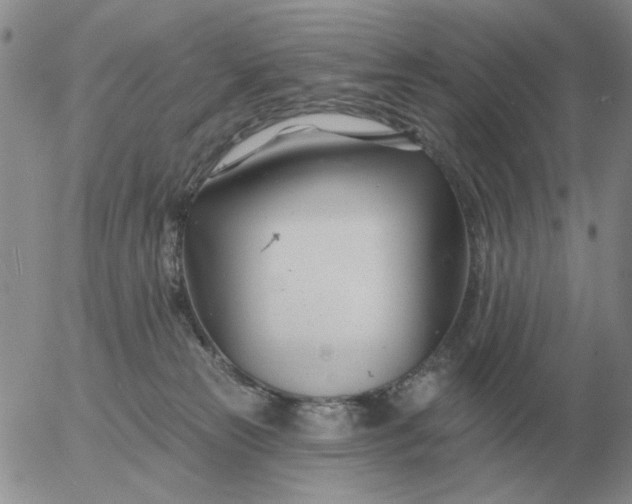 X0000055520181200509022133