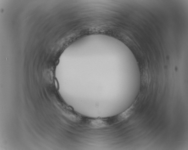 X0000055520183200509022133