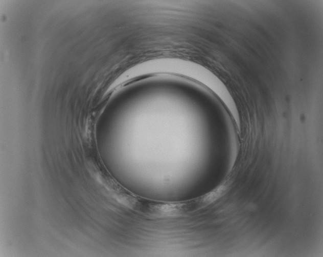 X0000055520184200509022133