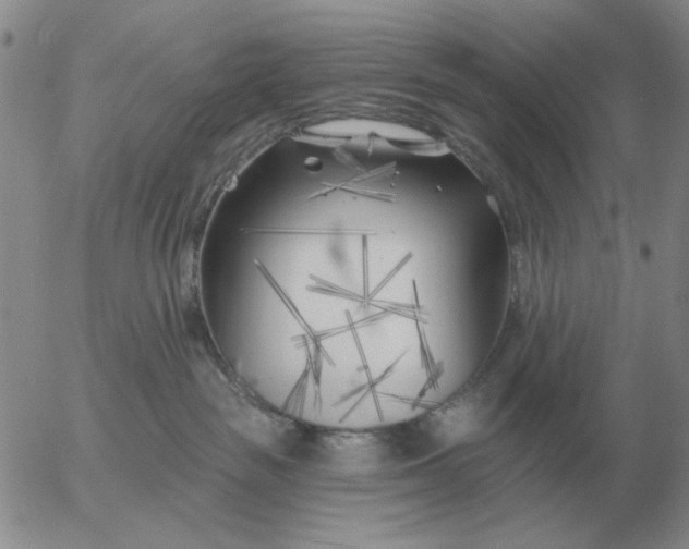 X0000055520189200509022133