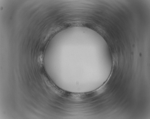 X0000055520190200509022133