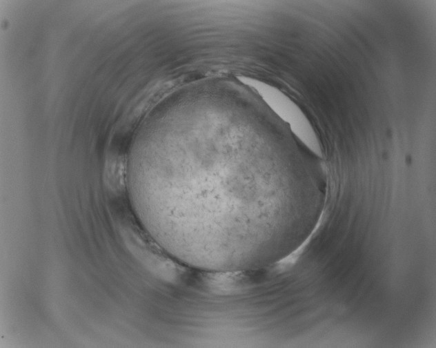 X0000055520191200509022133