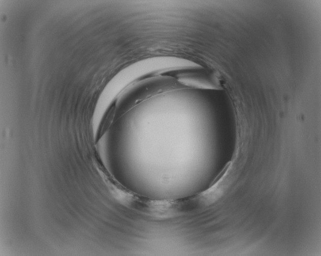 X0000055520192200509022133