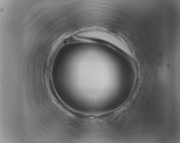 X0000055520193200509022132