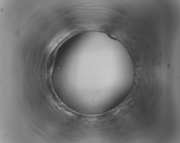 X0000055520194200509022132