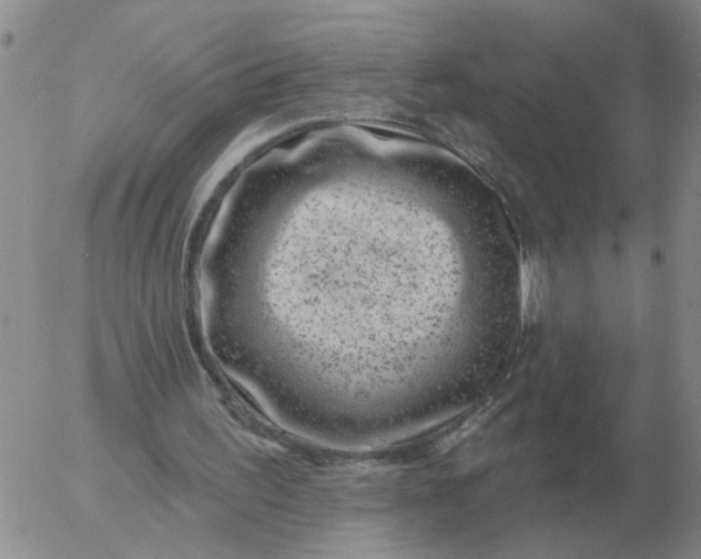 X0000055520195200509022132