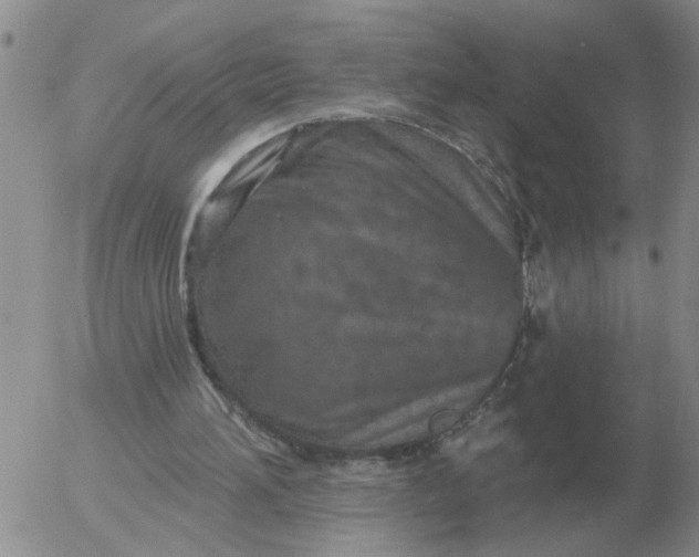 X0000055520196200509022132