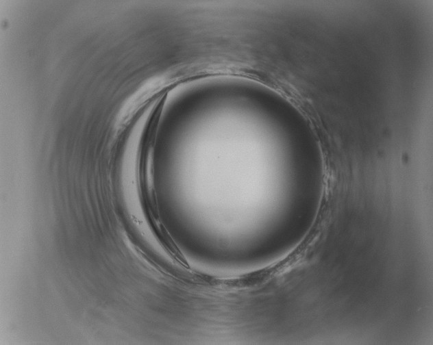 X0000055520197200509022132