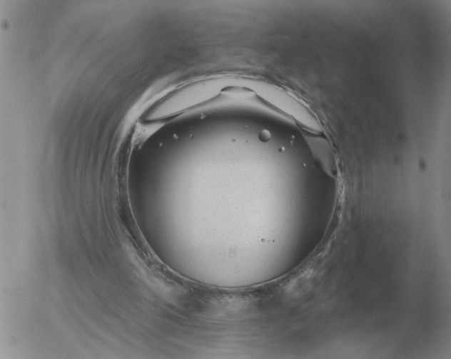 X0000055520198200509022132