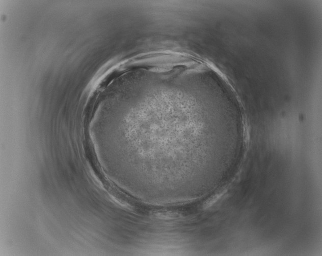 X0000055520199200509022132