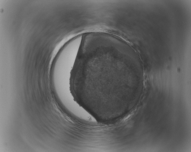 X0000055520200200509022132