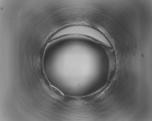 X0000055520201200509022132