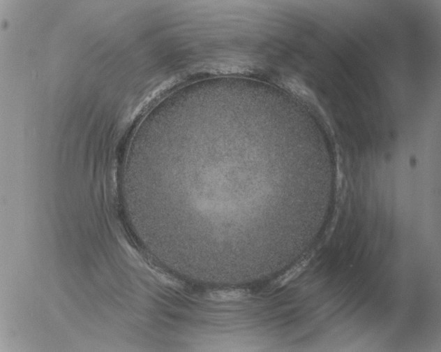 X0000055520202200509022132