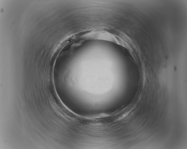 X0000055520203200509022132