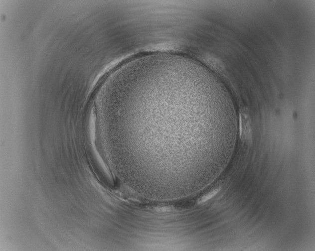 X0000055520204200509022132