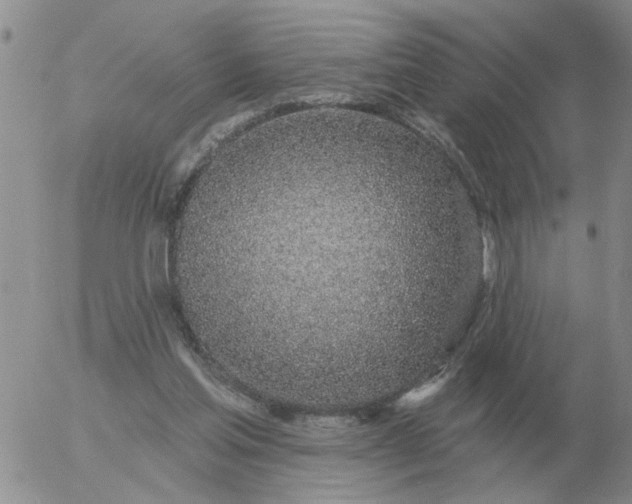 X0000055520205200509022132