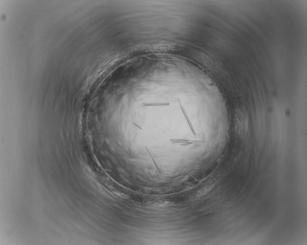 X0000055520206200509022132