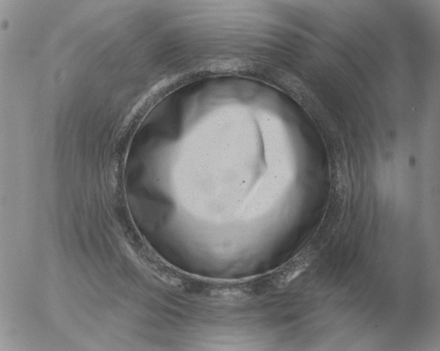 X0000055520208200509022132