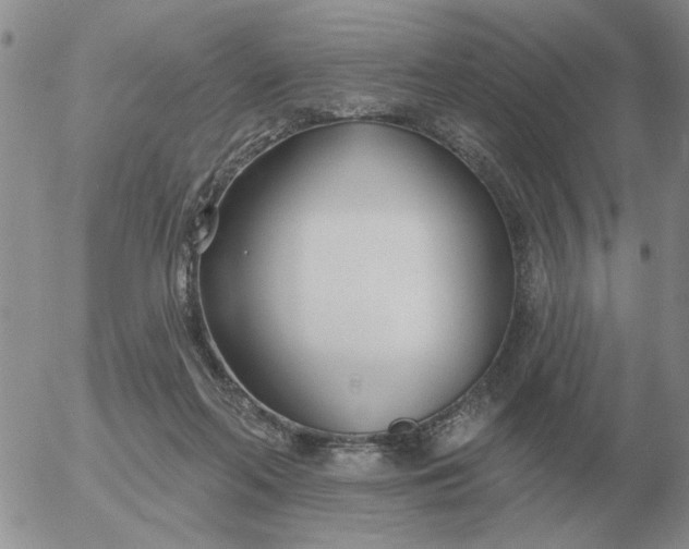 X0000055520214200509022132