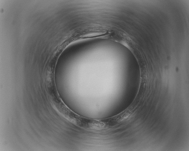 X0000055520215200509022132