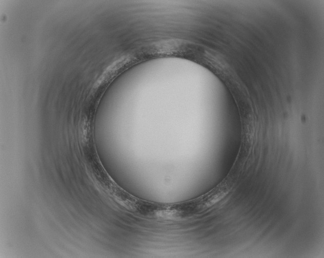 X0000055520216200509022132