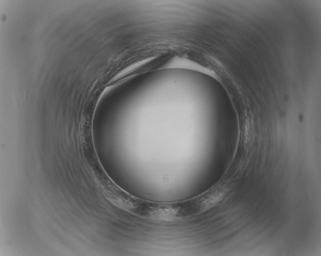 X0000055520217200509022132