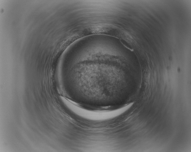 X0000055520219200509022132