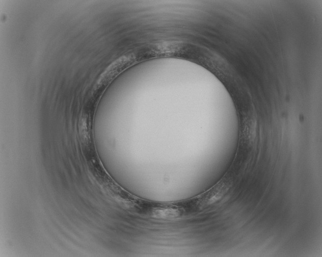 X0000055520220200509022132