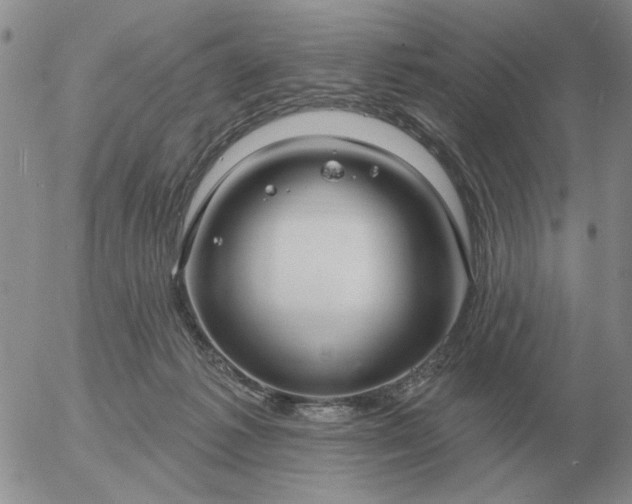 X0000055520221200509022132