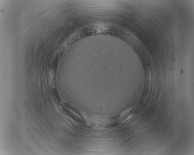 X0000055520222200509022132