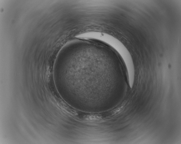 X0000055520223200509022132