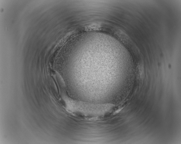 X0000055520224200509022132