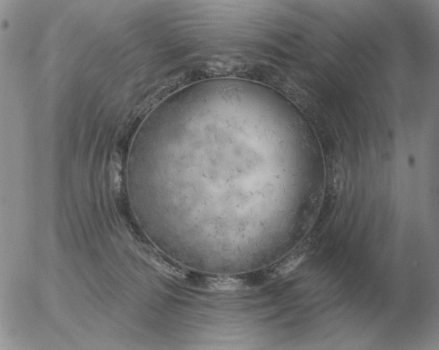 X0000055520226200509022132