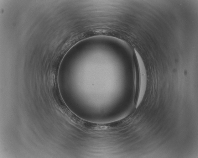 X0000055520227200509022132