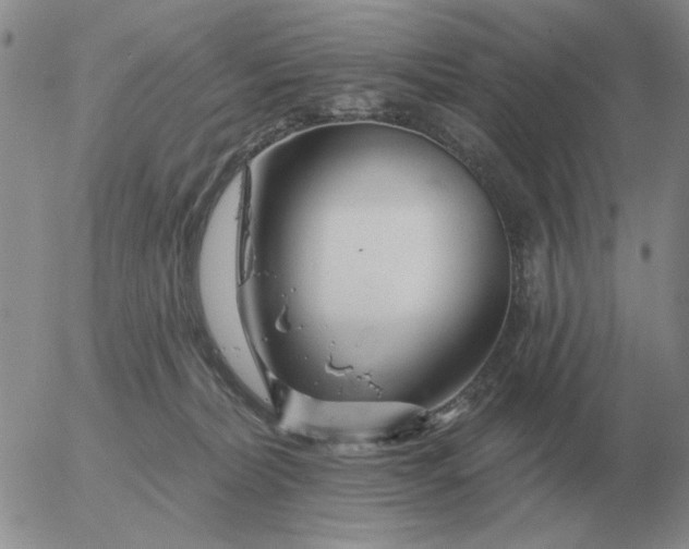 X0000055520228200509022132