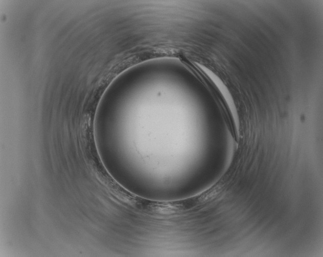 X0000055520229200509022132