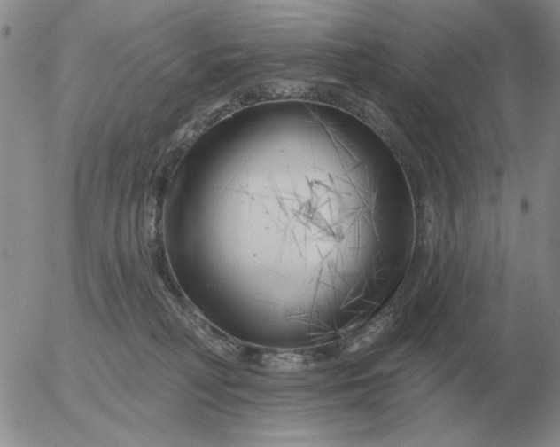 X0000055520230200509022132