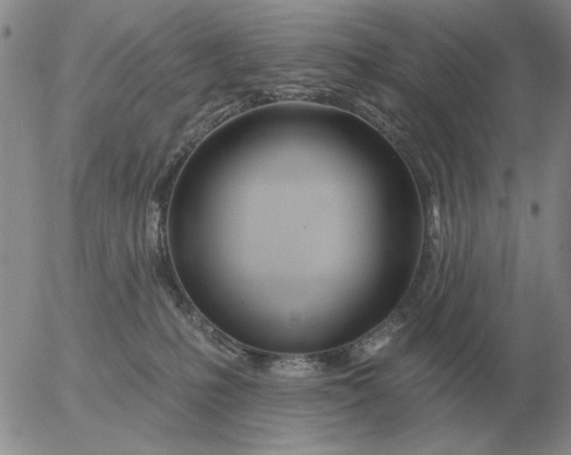 X0000055520231200509022132