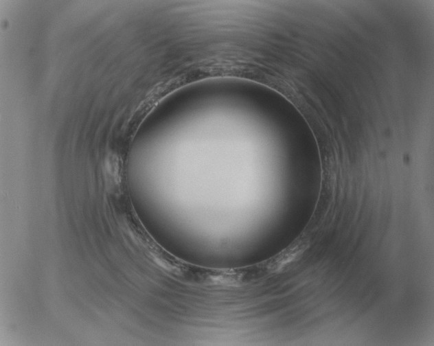 X0000055520232200509022132