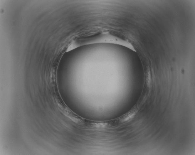 X0000055520233200509022132