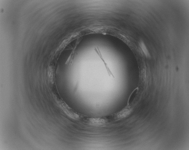 X0000055520234200509022132