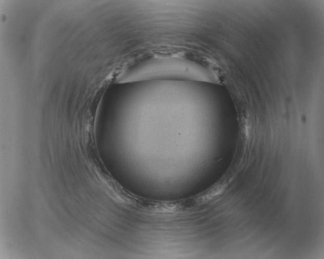 X0000055520235200509022132