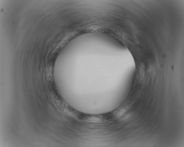 X0000055520236200509022132