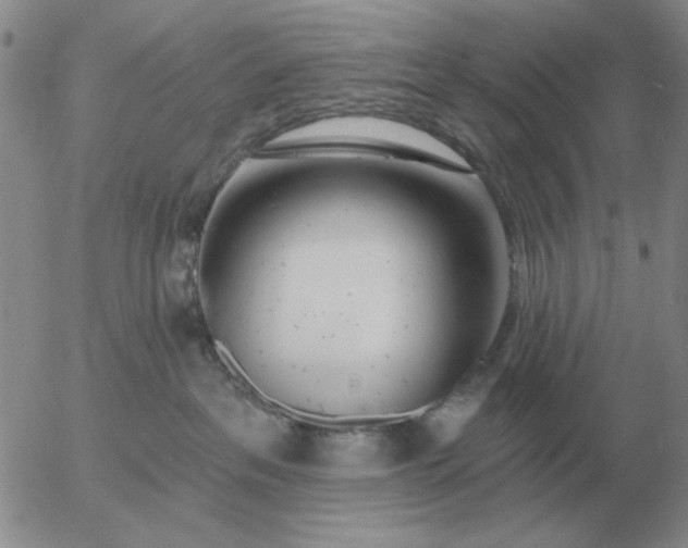 X0000055520237200509022132