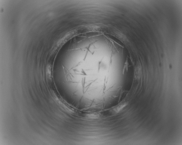 X0000055520238200509022132