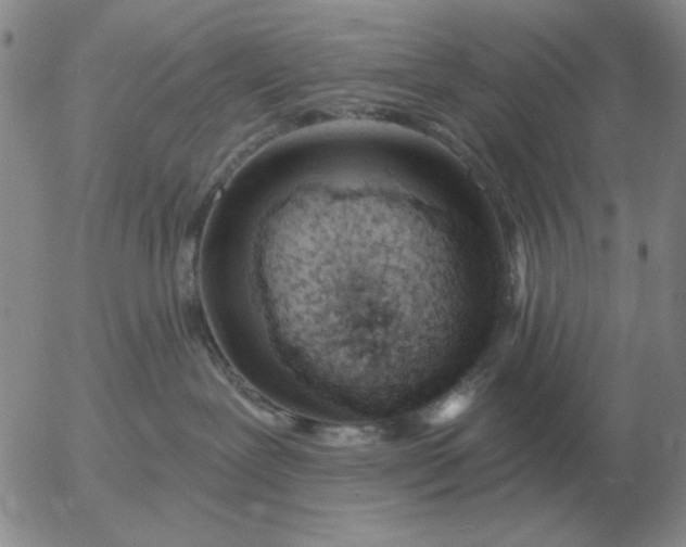 X0000055520239200509022132