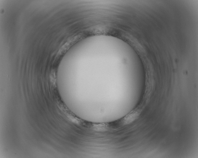 X0000055520240200509022132