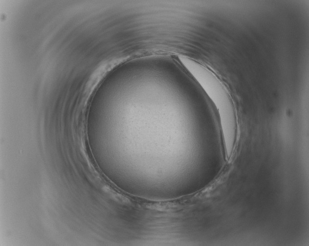 X0000055520241200509022131